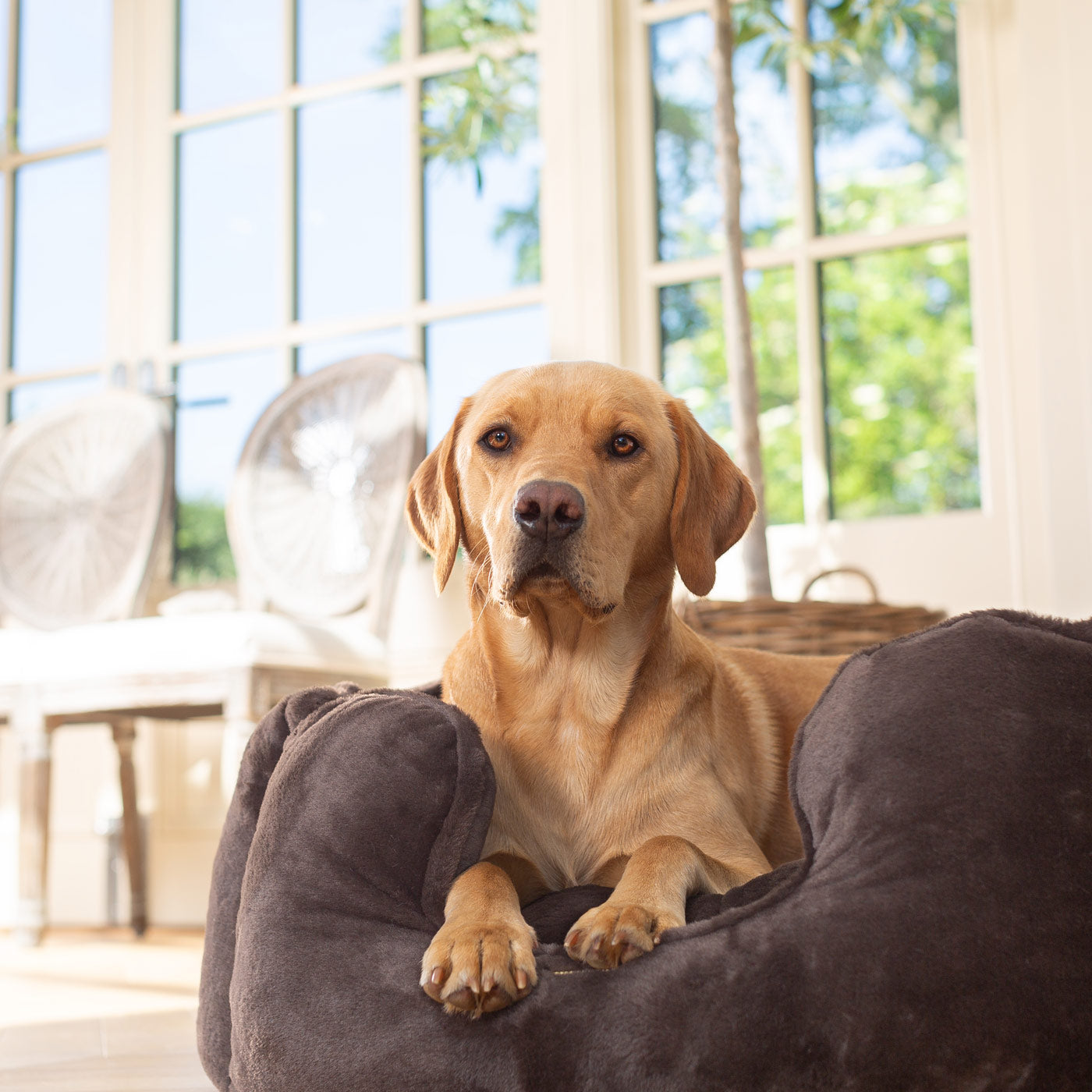 PETLOOM High Wall Calming Faux Fur Dog Bed™