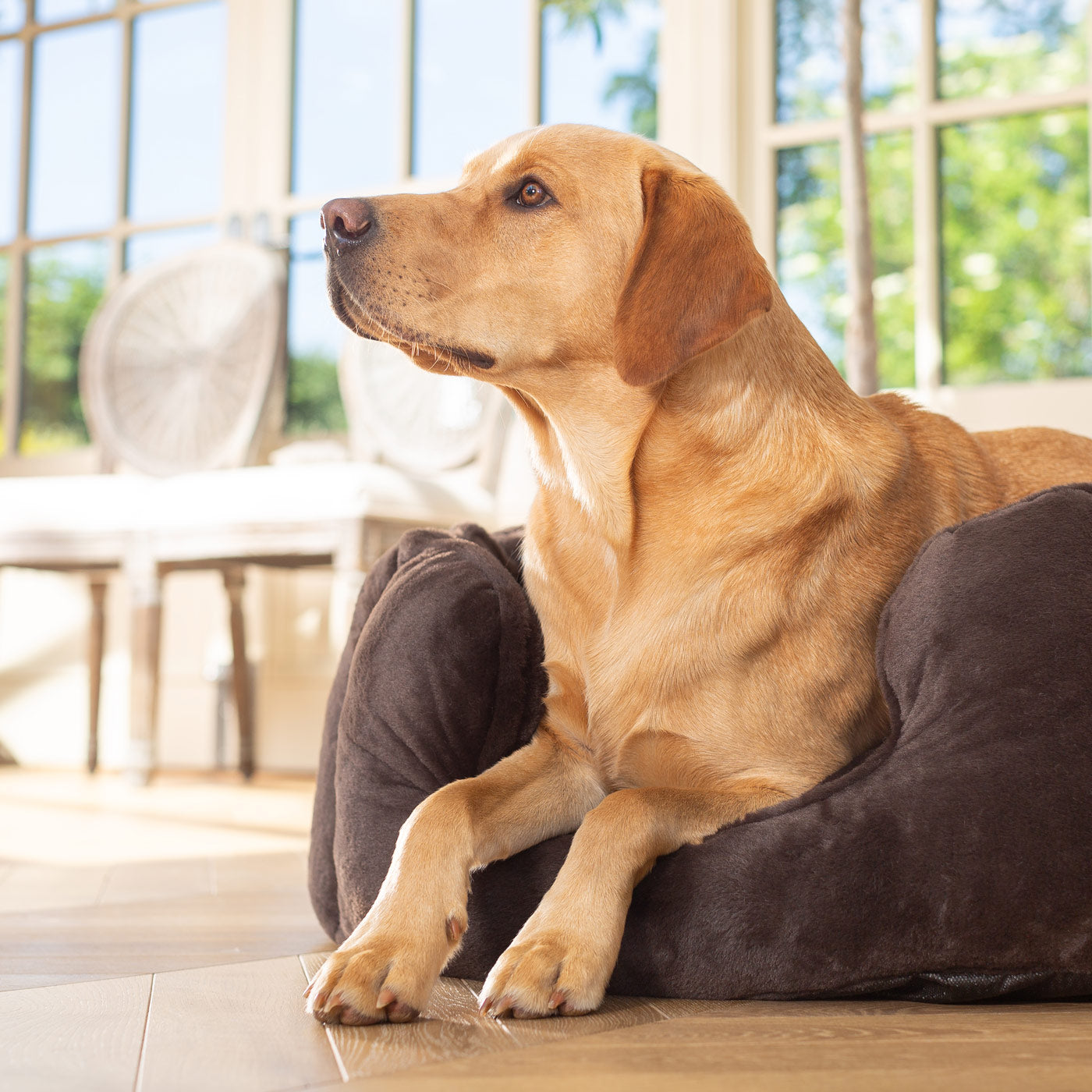 PETLOOM High Wall Calming Faux Fur Dog Bed™