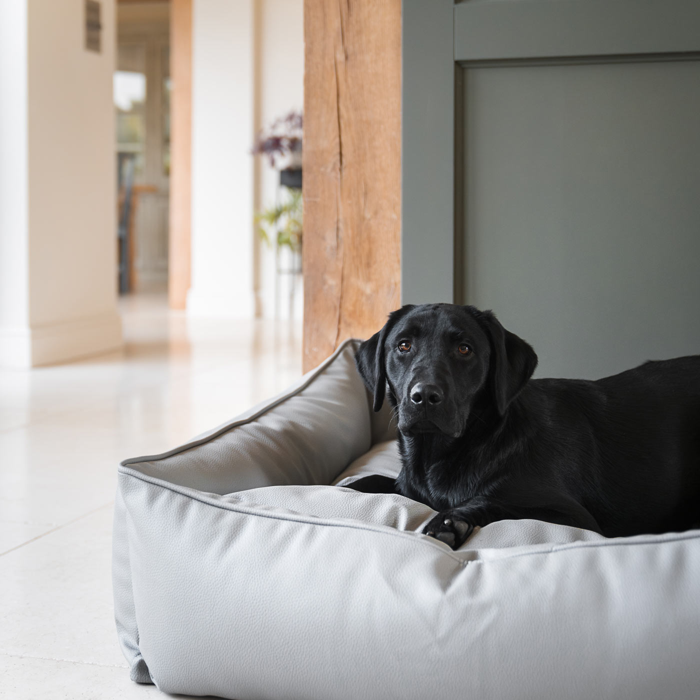 PETLOOM Rhino Tough Faux Leather Box Bed™