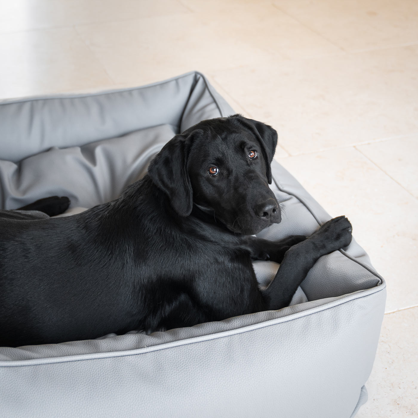 PETLOOM Rhino Tough Faux Leather Box Bed™