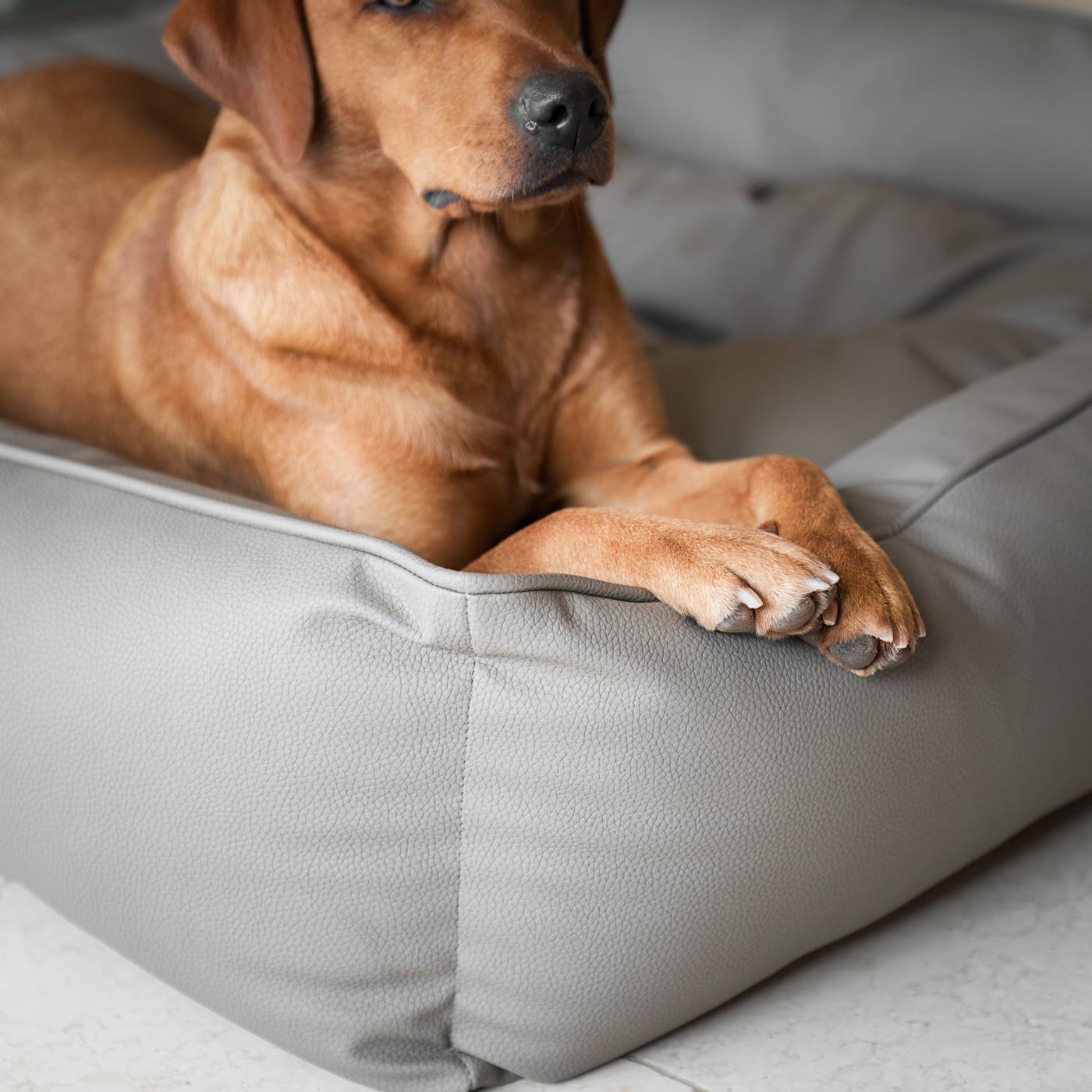 PETLOOM Rhino Tough Faux Leather Box Bed™