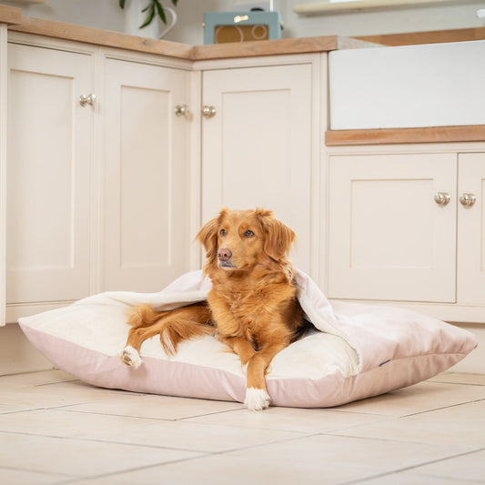 PETLOOM Sleepy Burrows Velvet Dog Bed™
