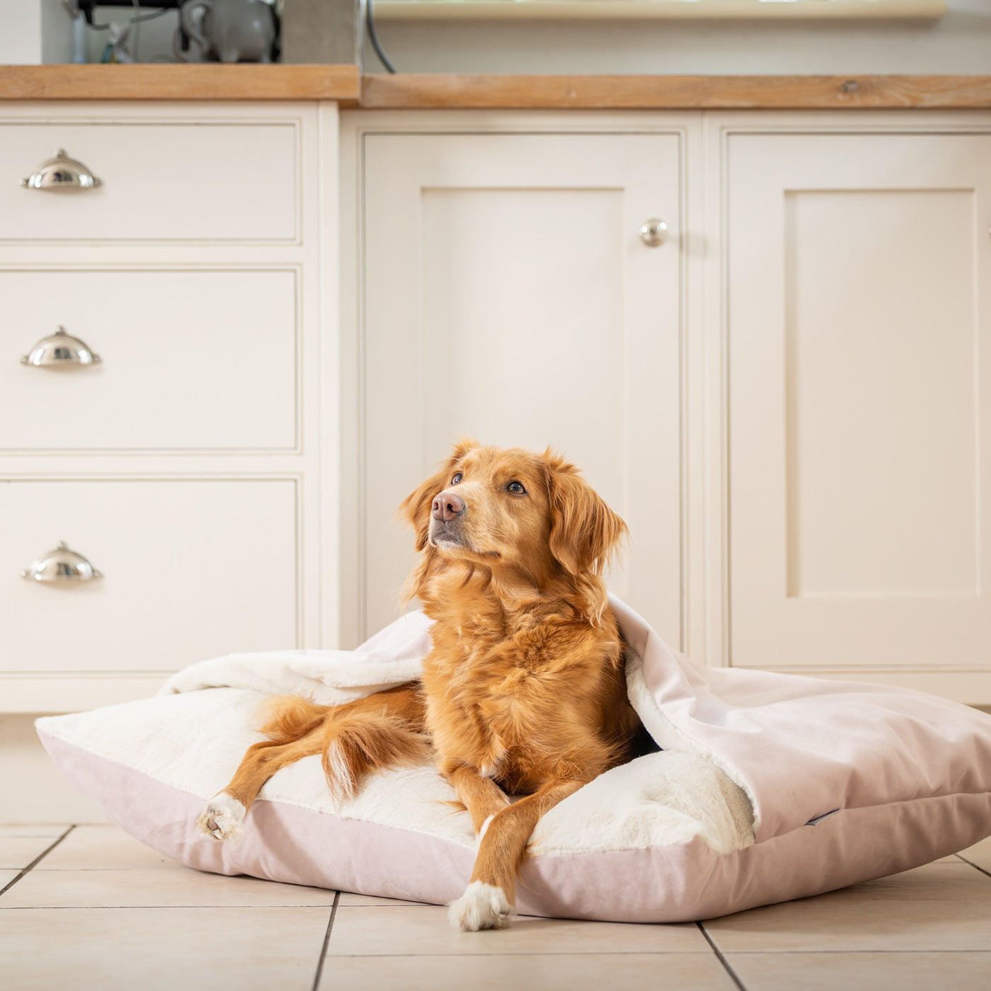 PETLOOM Sleepy Burrows Velvet Dog Bed™