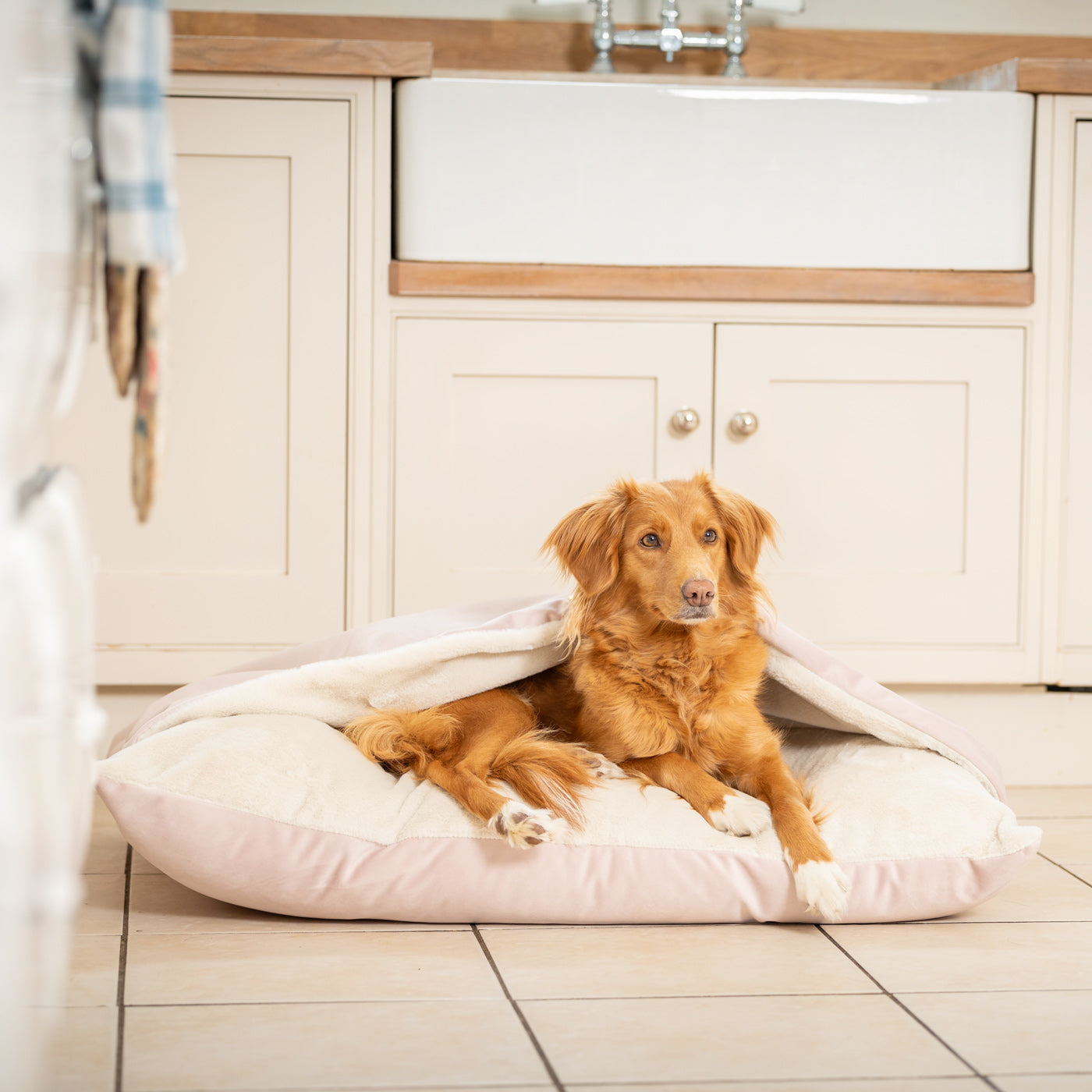 PETLOOM Sleepy Burrows Velvet Dog Bed™