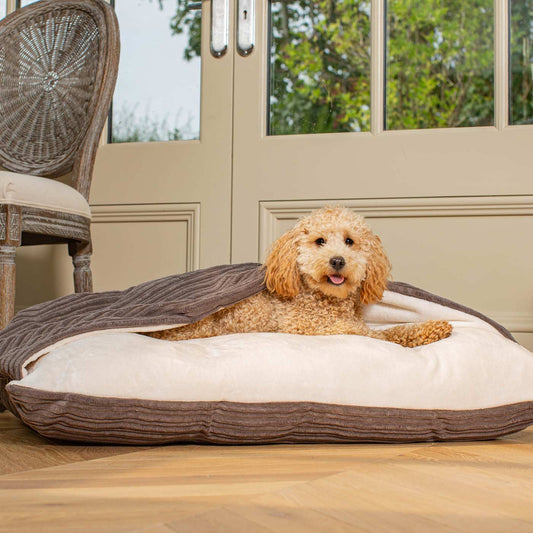 PETLOOM Sleepy Burrows Plush Dog Bed™