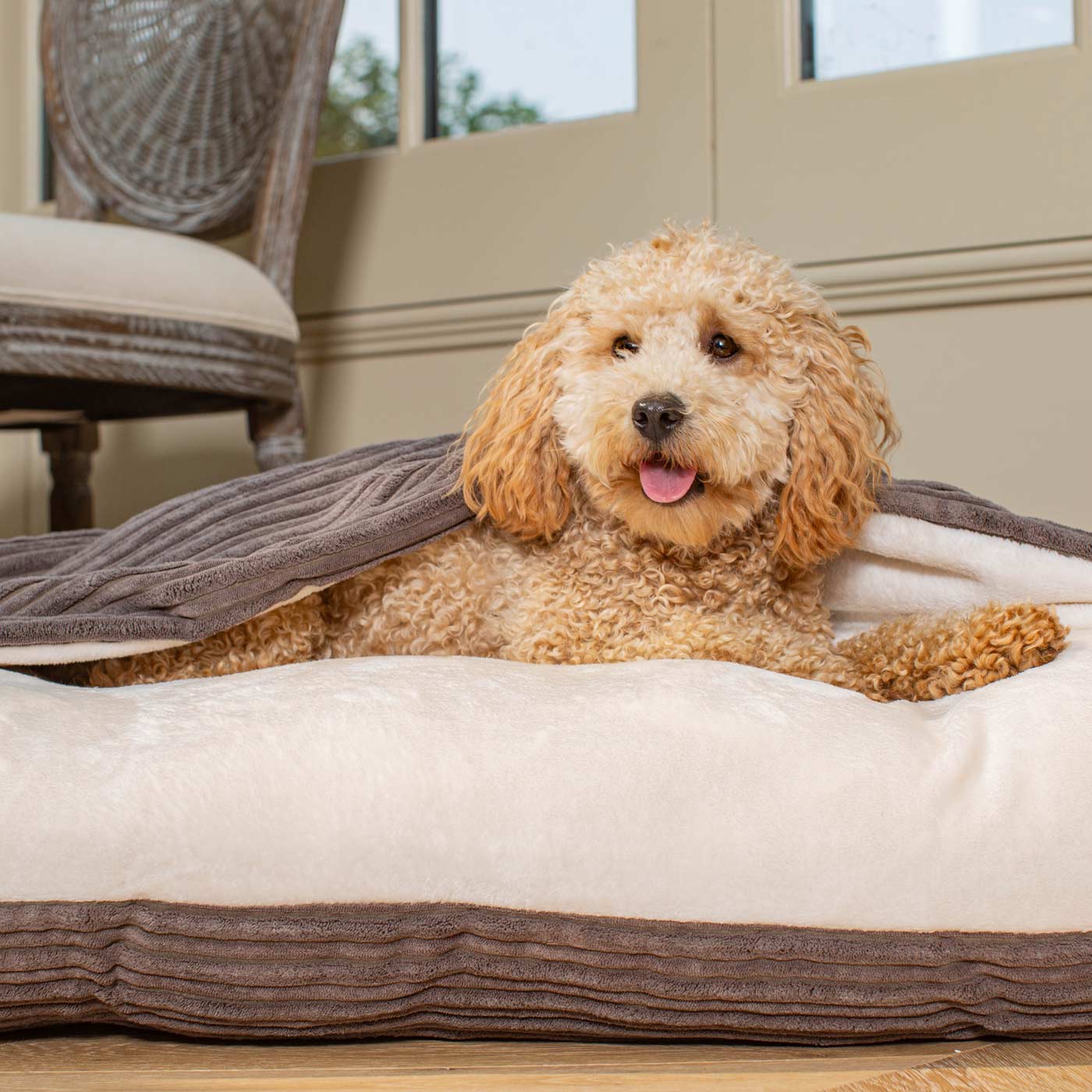 PETLOOM Sleepy Burrows Plush Dog Bed™