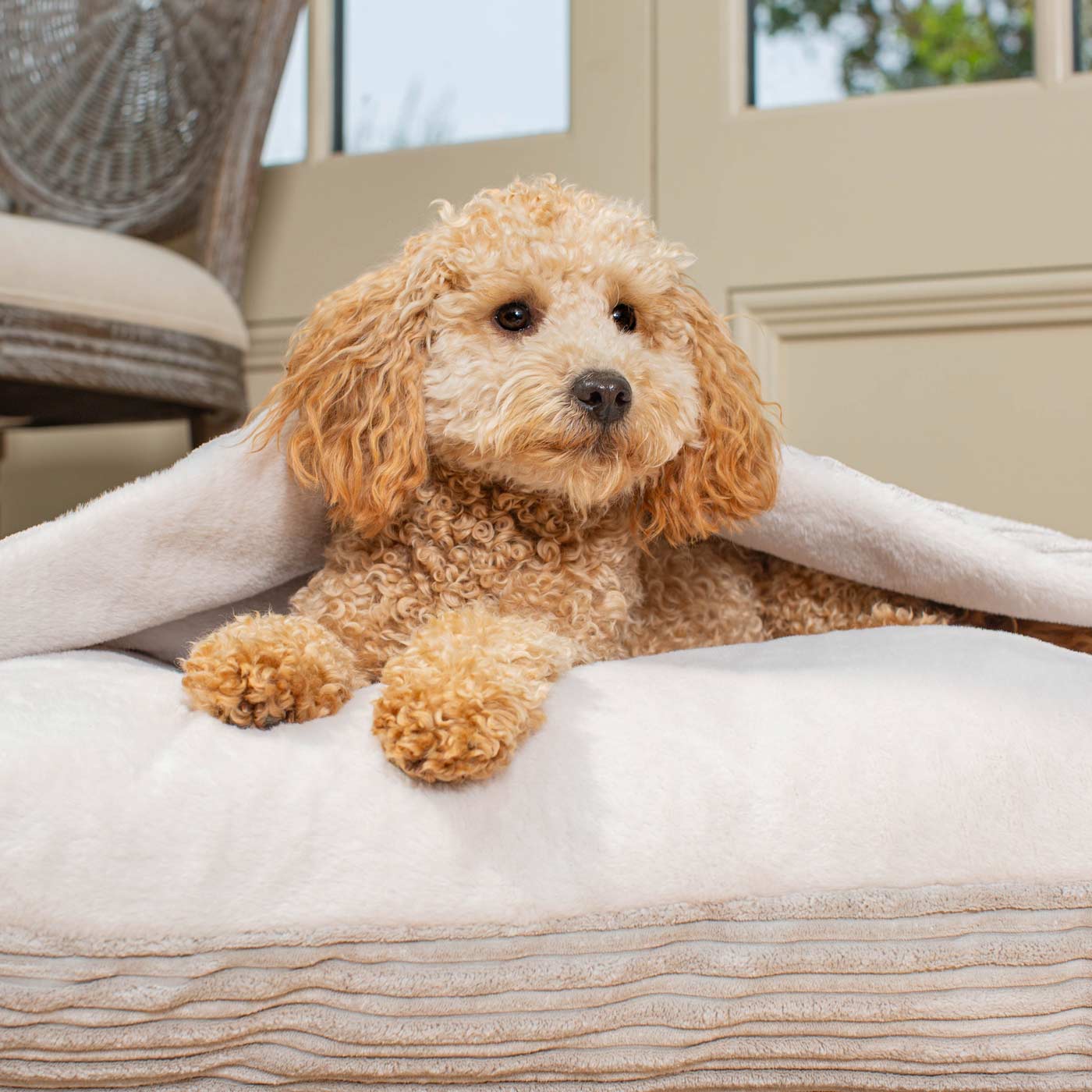 PETLOOM Sleepy Burrows Plush Dog Bed™