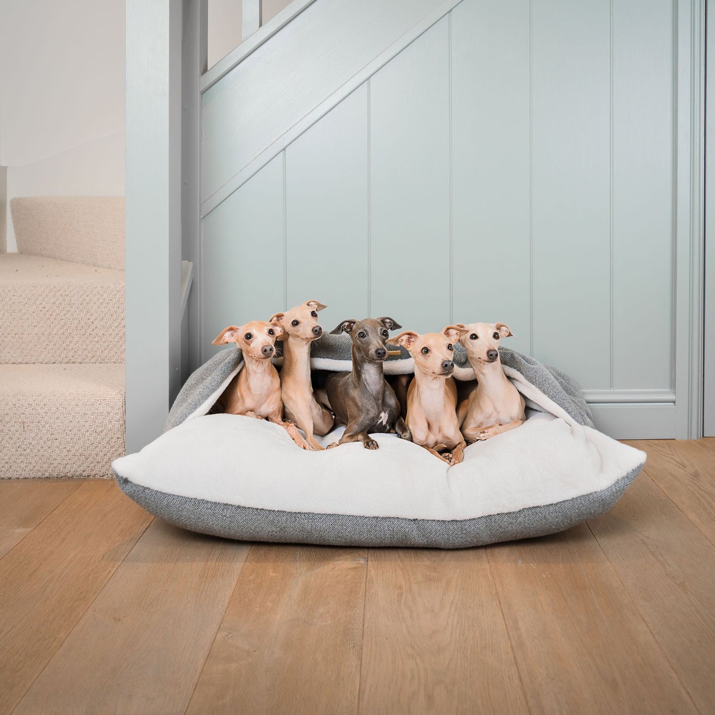 PETLOOM Sleepy Burrows Herringbone Dog Bed™