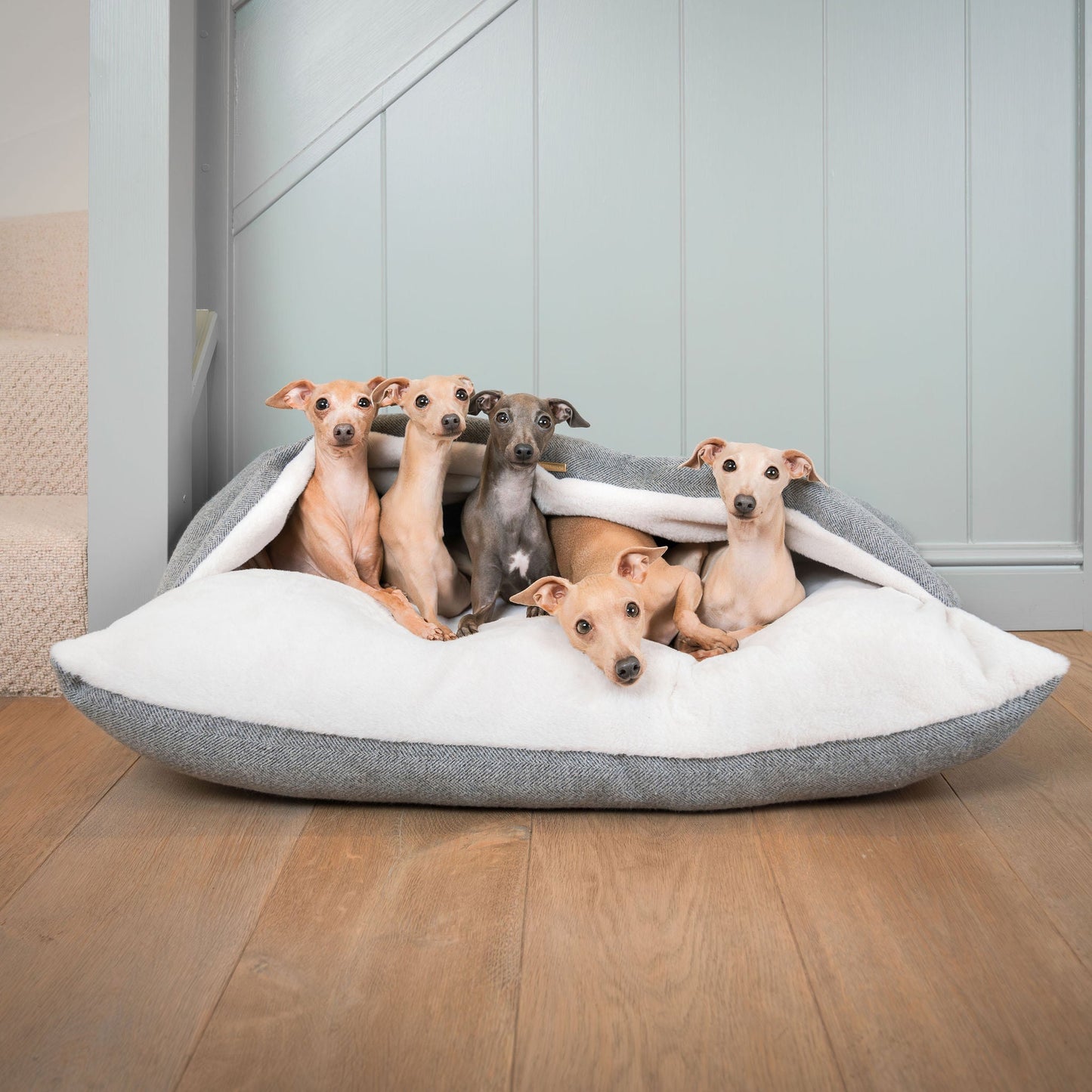 PETLOOM Sleepy Burrows Herringbone Dog Bed™