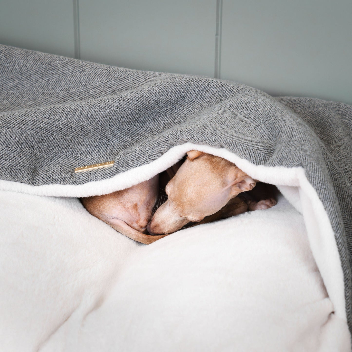 PETLOOM Sleepy Burrows Herringbone Dog Bed™