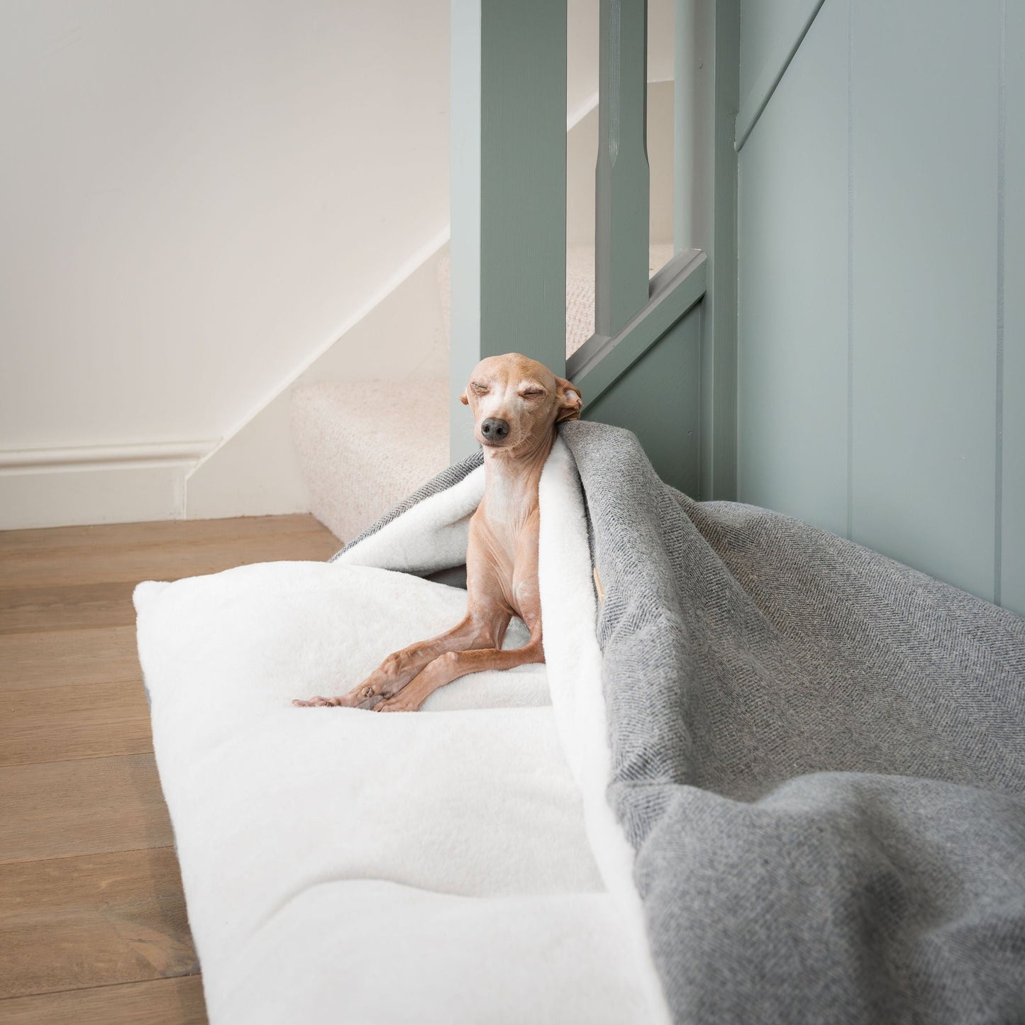 PETLOOM Sleepy Burrows Herringbone Dog Bed™