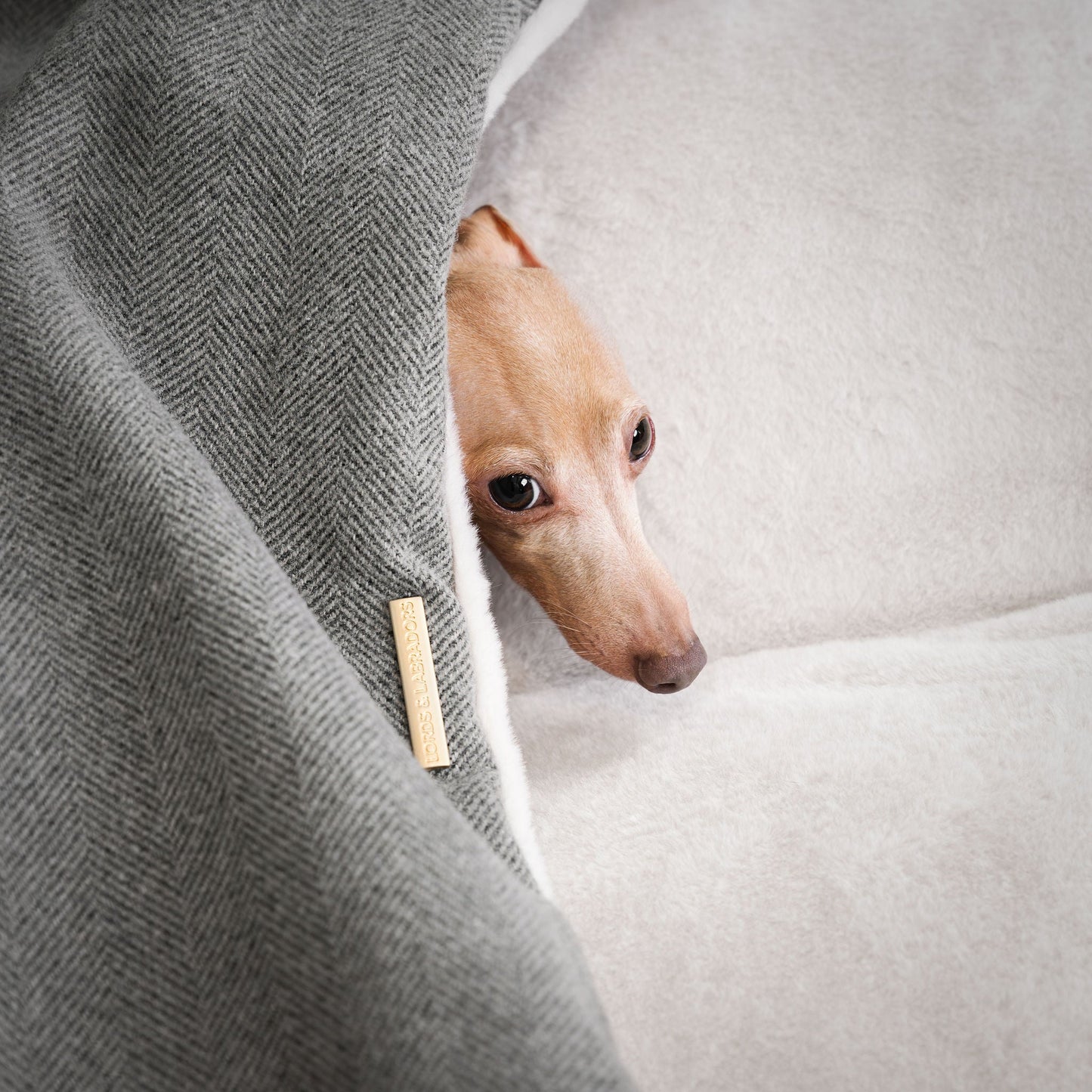 PETLOOM Sleepy Burrows Herringbone Dog Bed™