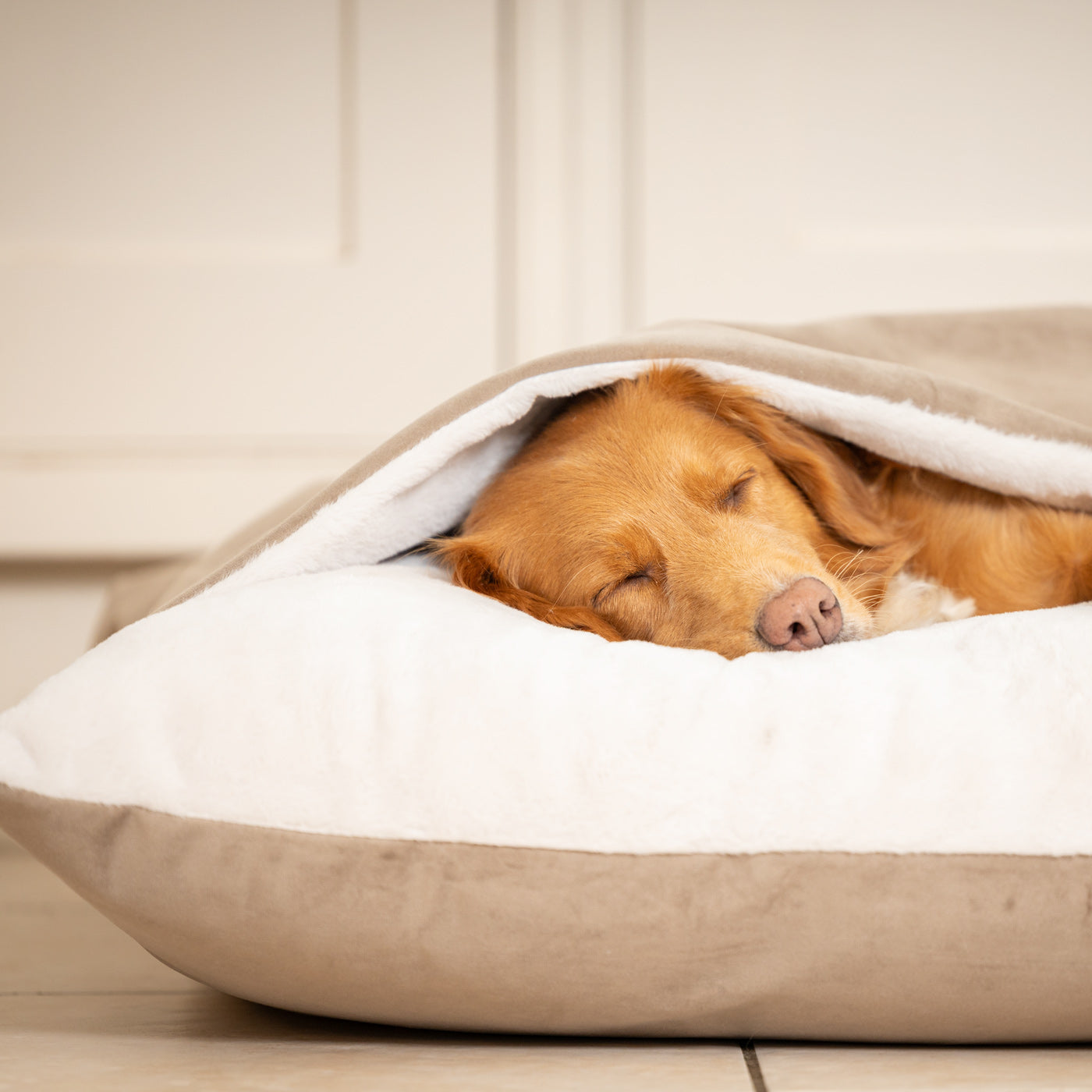 PETLOOM Sleepy Burrows Velvet Dog Bed™