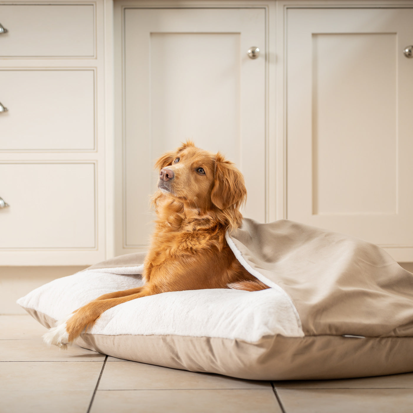 PETLOOM Sleepy Burrows Velvet Dog Bed™