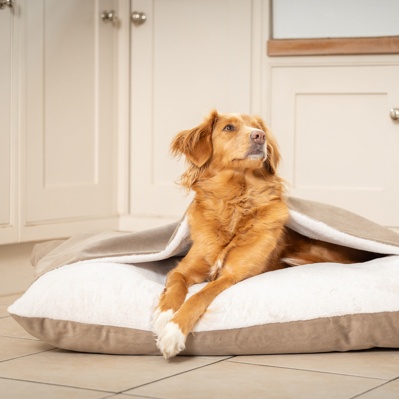 PETLOOM Sleepy Burrows Velvet Dog Bed™