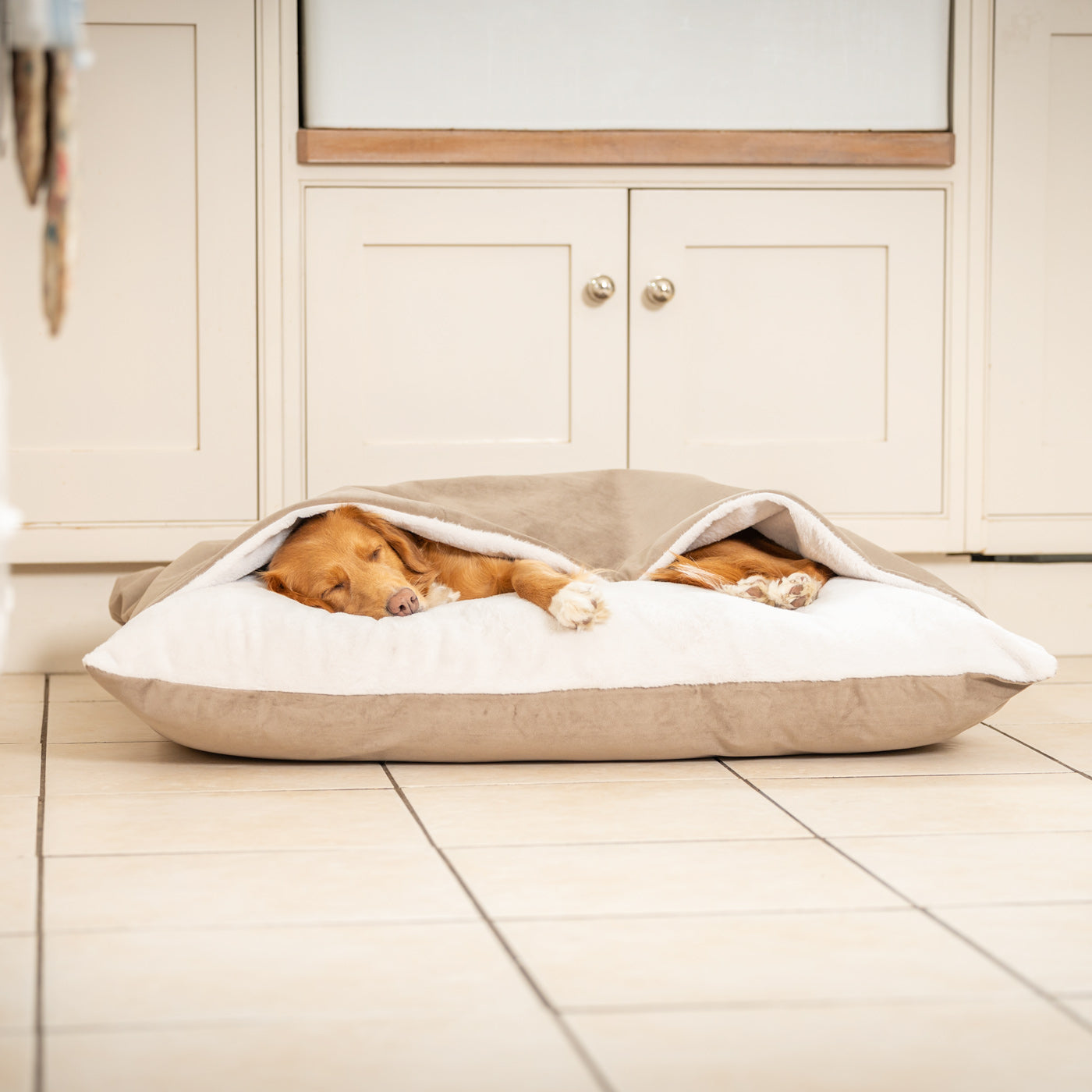 PETLOOM Sleepy Burrows Velvet Dog Bed™