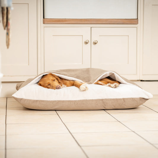 PETLOOM Sleepy Burrows Velvet Dog Bed™