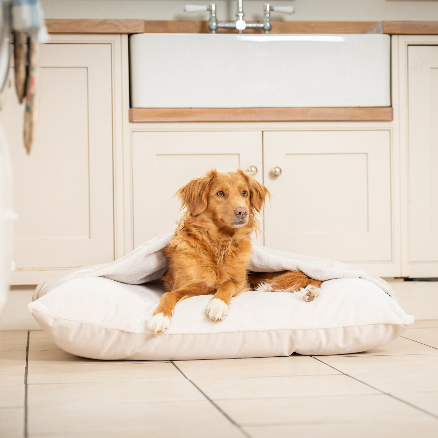 PETLOOM Sleepy Burrows Velvet Dog Bed™