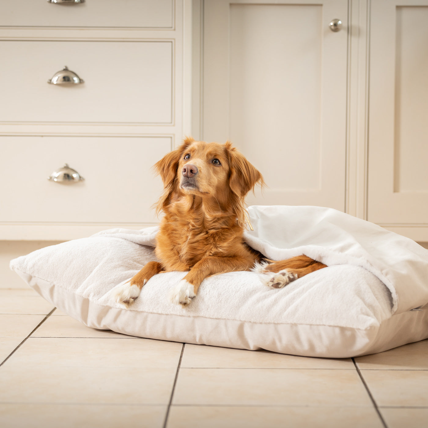 PETLOOM Sleepy Burrows Velvet Dog Bed™