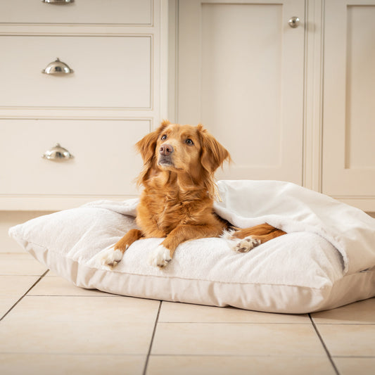 PETLOOM Sleepy Burrows Velvet Dog Bed™