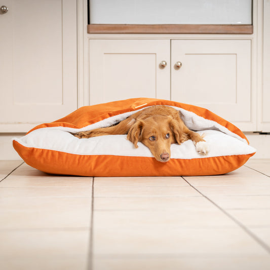 PETLOOM Sleepy Burrows Velvet Dog Bed™