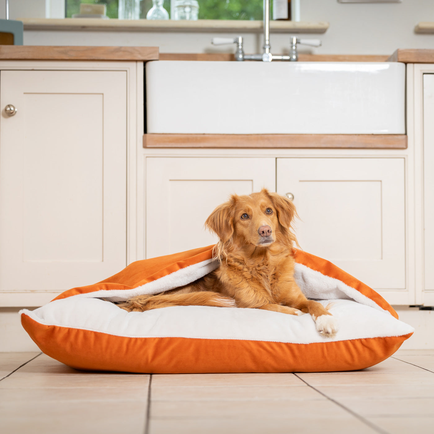 PETLOOM Sleepy Burrows Velvet Dog Bed™
