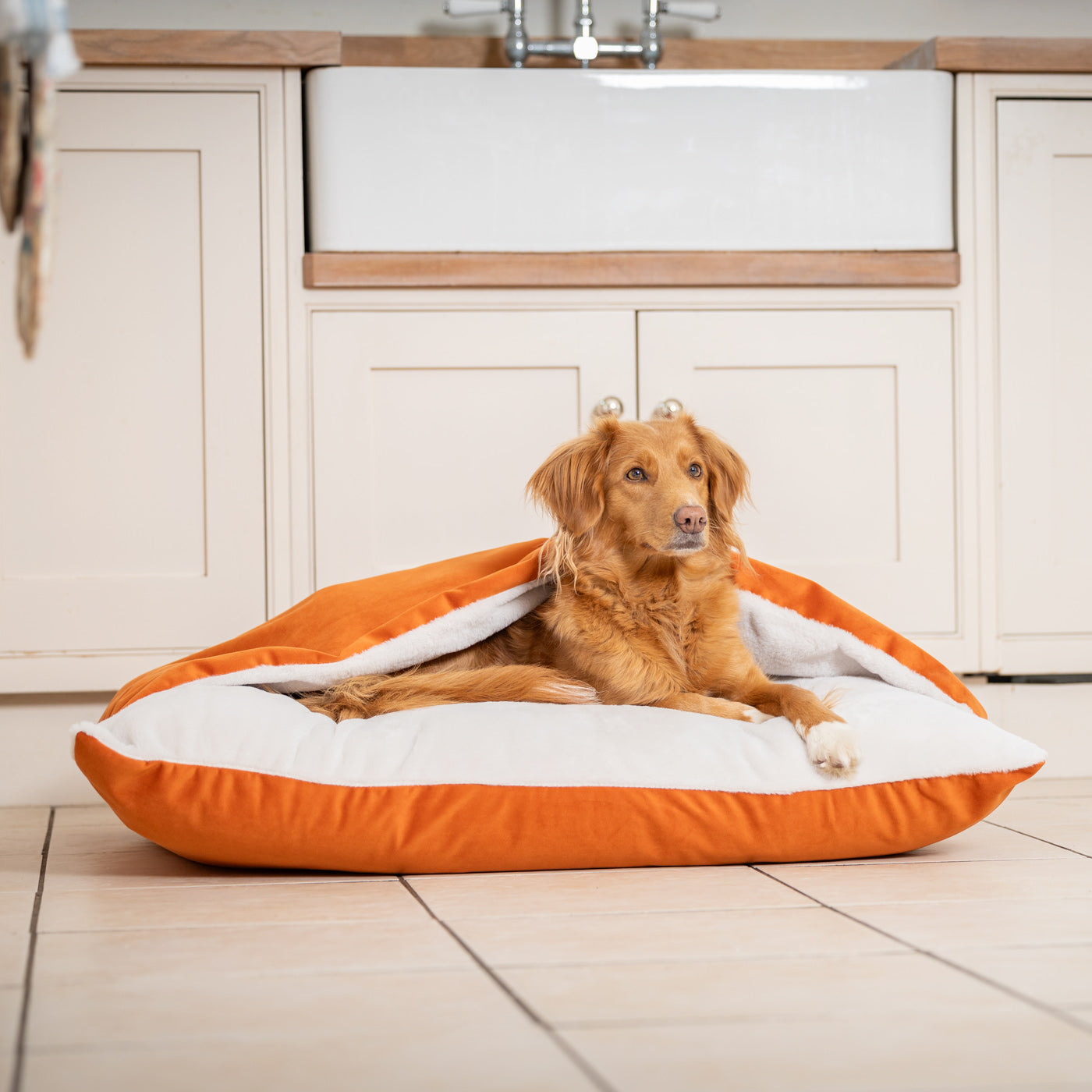 PETLOOM Sleepy Burrows Velvet Dog Bed™