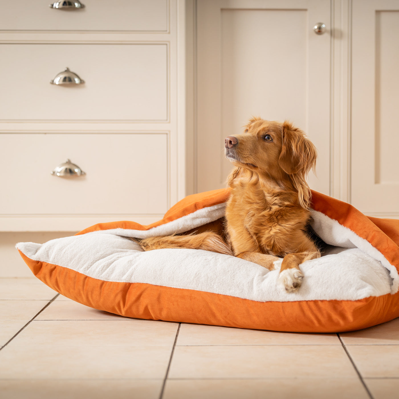 PETLOOM Sleepy Burrows Velvet Dog Bed™