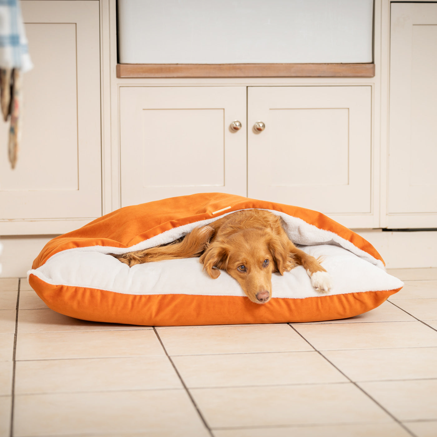 PETLOOM Sleepy Burrows Velvet Dog Bed™