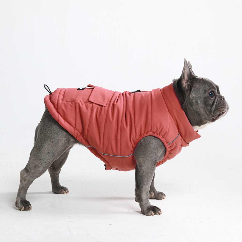 Petloom All-Season Insulated Dog Jacket™
