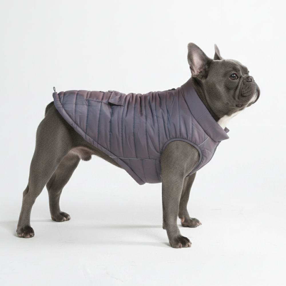 Petloom All-Season Insulated Dog Jacket™
