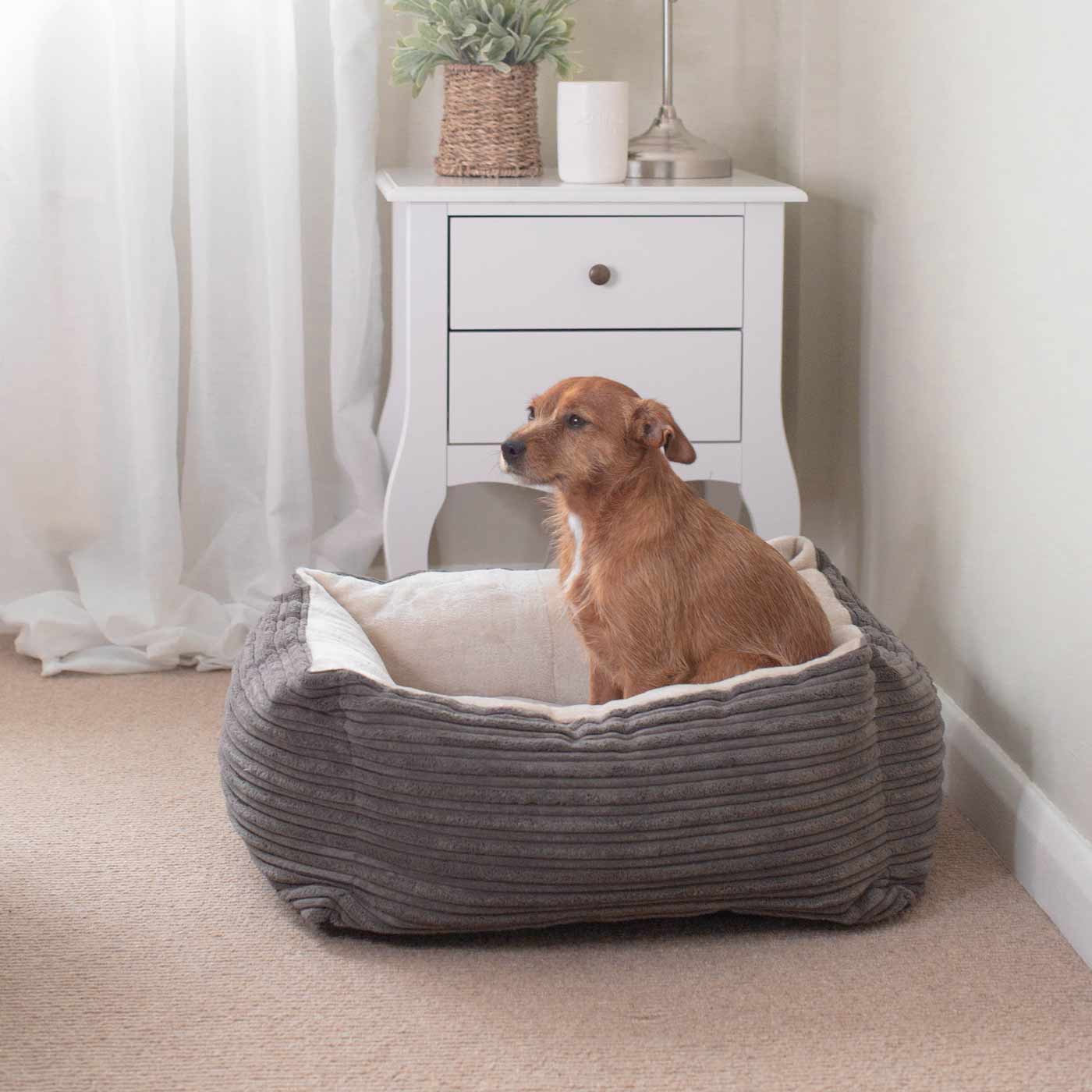 PETLOOM Essentials Plush Box Dog Bed™