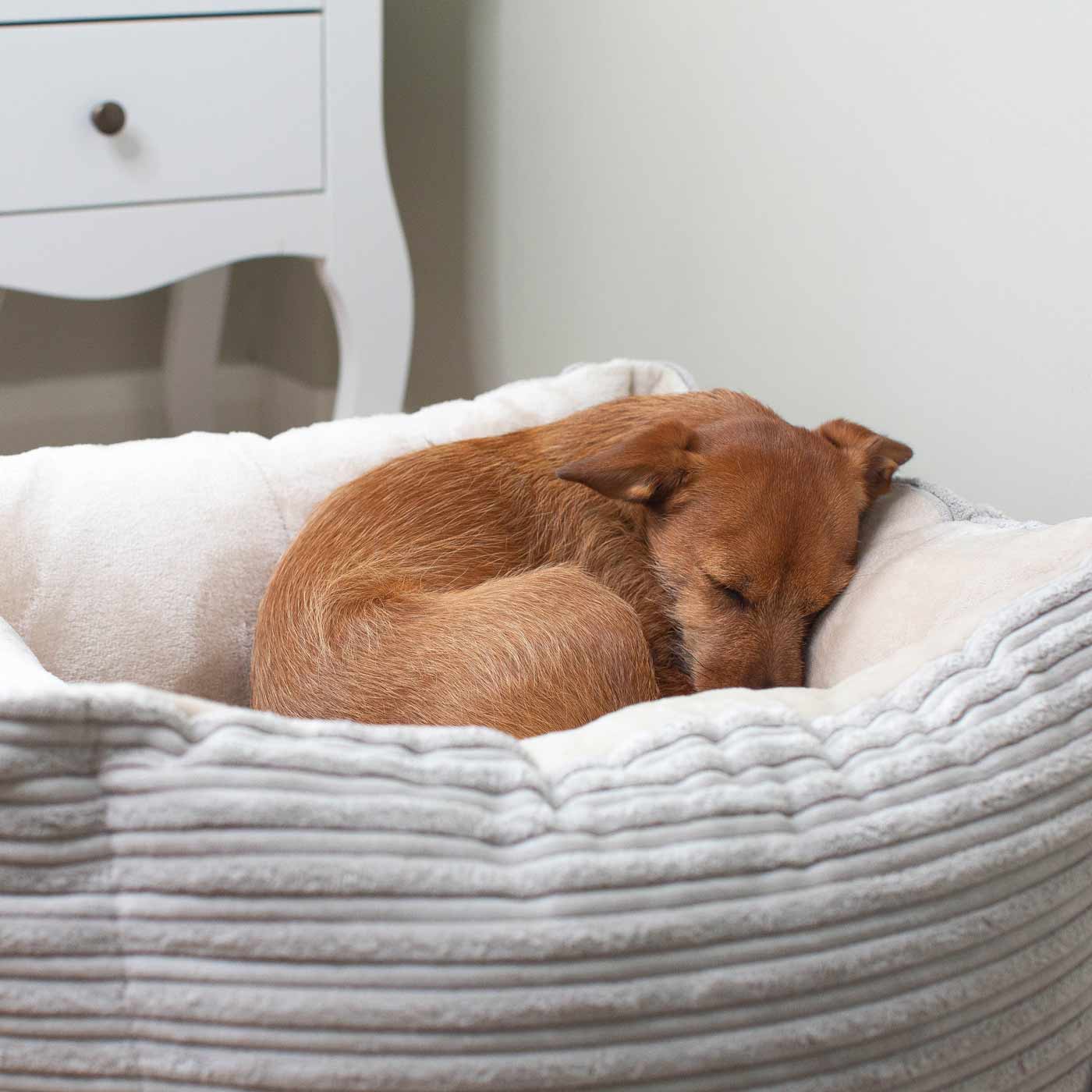 PETLOOM Essentials Plush Box Dog Bed™
