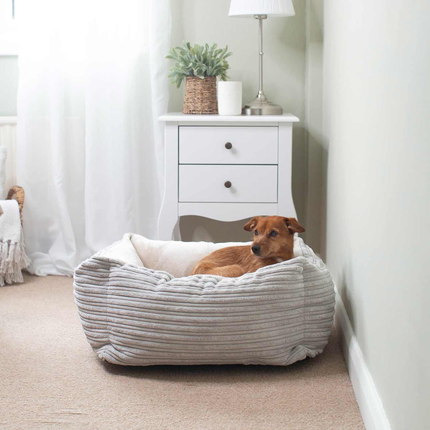 PETLOOM Essentials Plush Box Dog Bed™