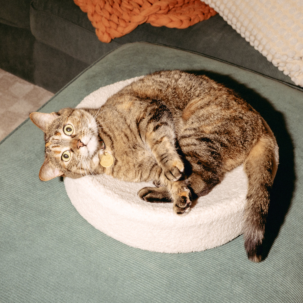 PETLOOM Kip Cat Bed™