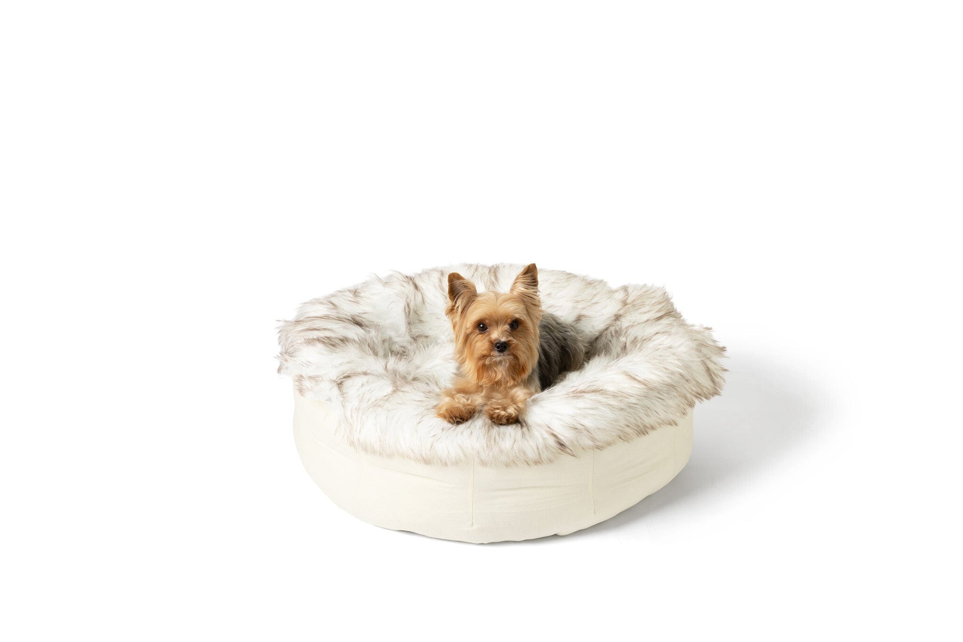 Dog lying on a fluffy donut-shaped pet bed with a white background