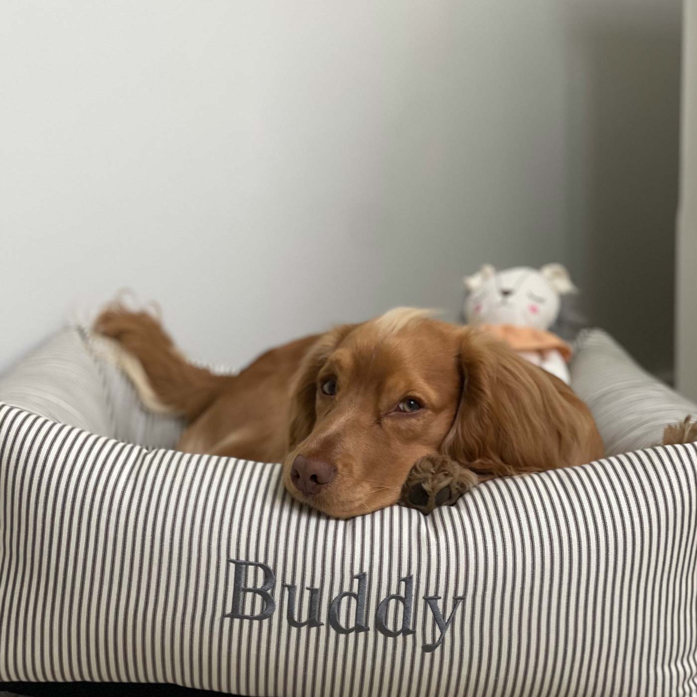 PETLOOM Regency Stripe Box Dog Bed™