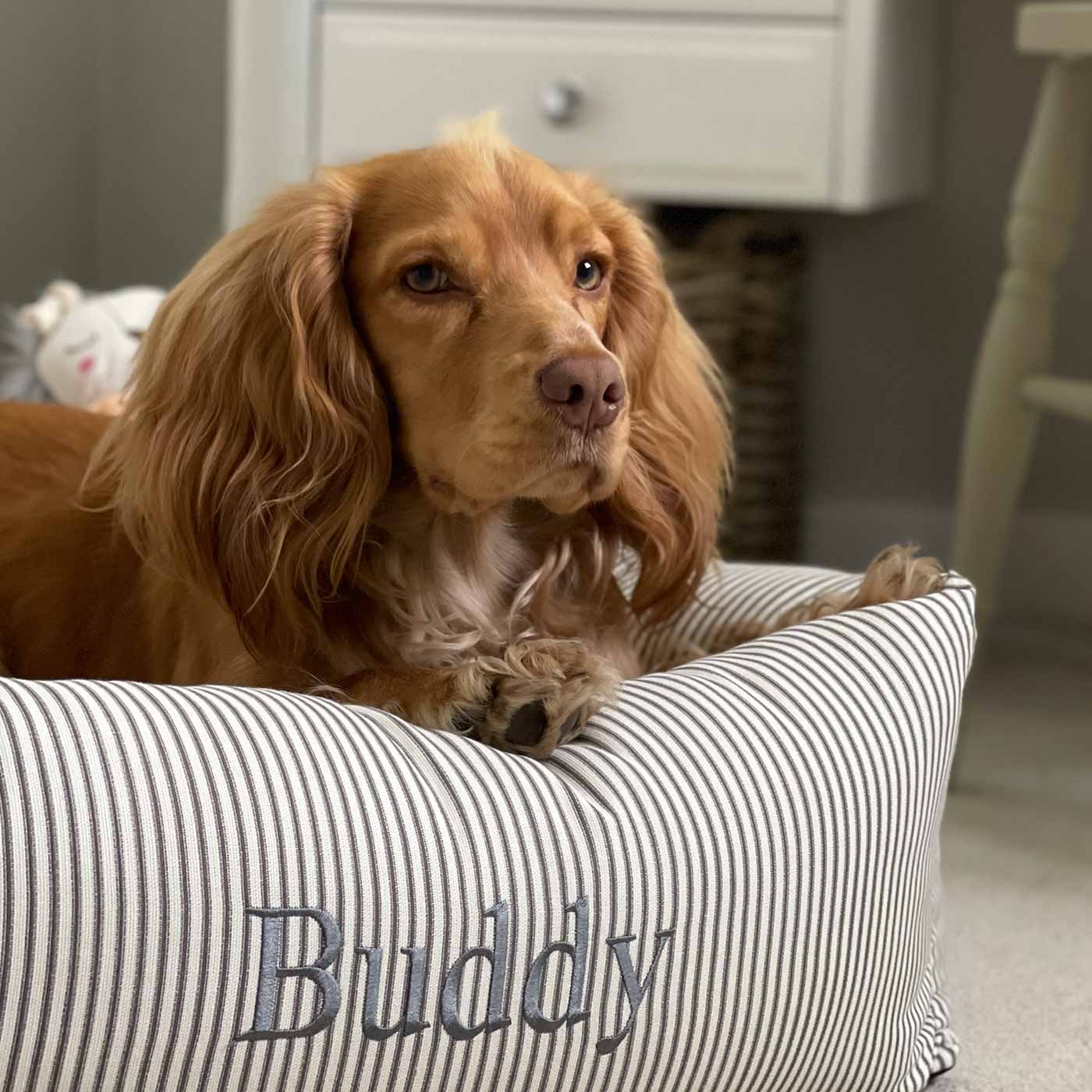 PETLOOM Regency Stripe Box Dog Bed™