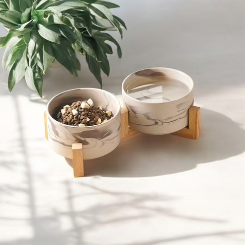 Petloom everyday pet bowl for dogs and cats
