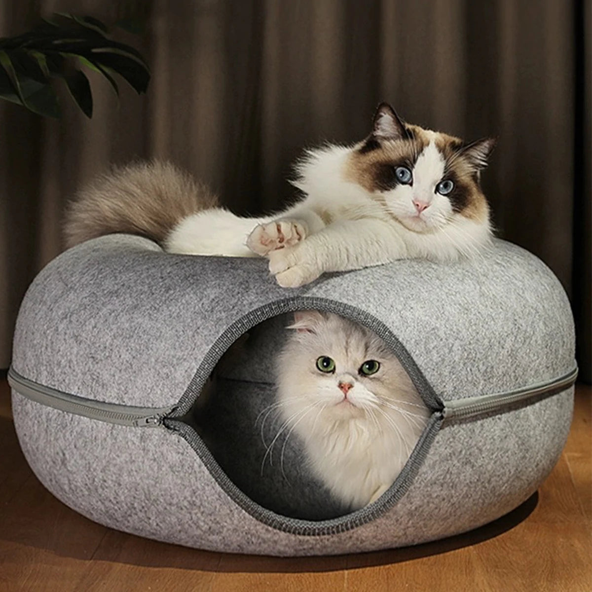 Petloom Cozy Duo Convertible Cat Bed 2 in 1 cat cave and lounge bed
