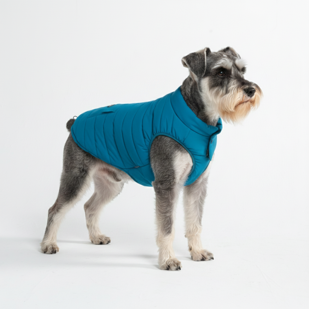 Petloom All-Season Insulated Dog Jacket™