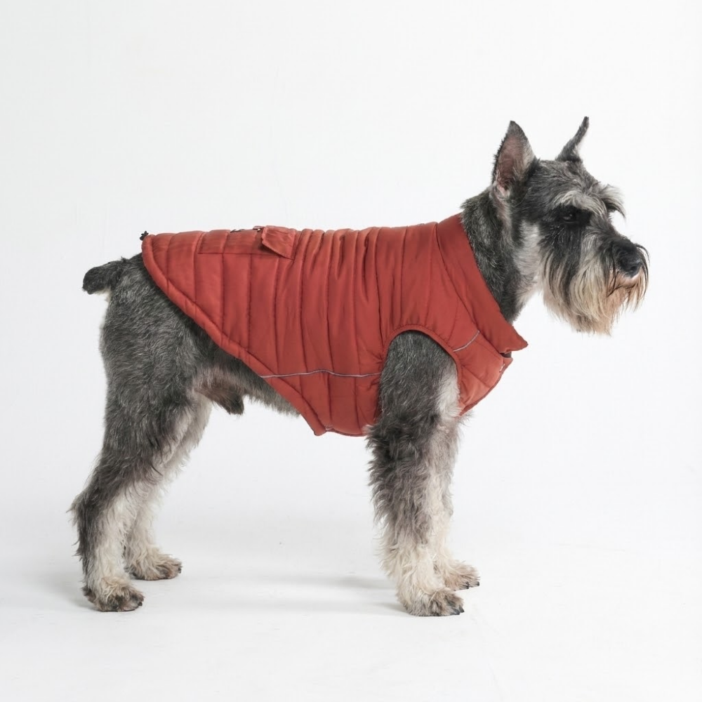 Petloom All-Season Insulated Dog Jacket™