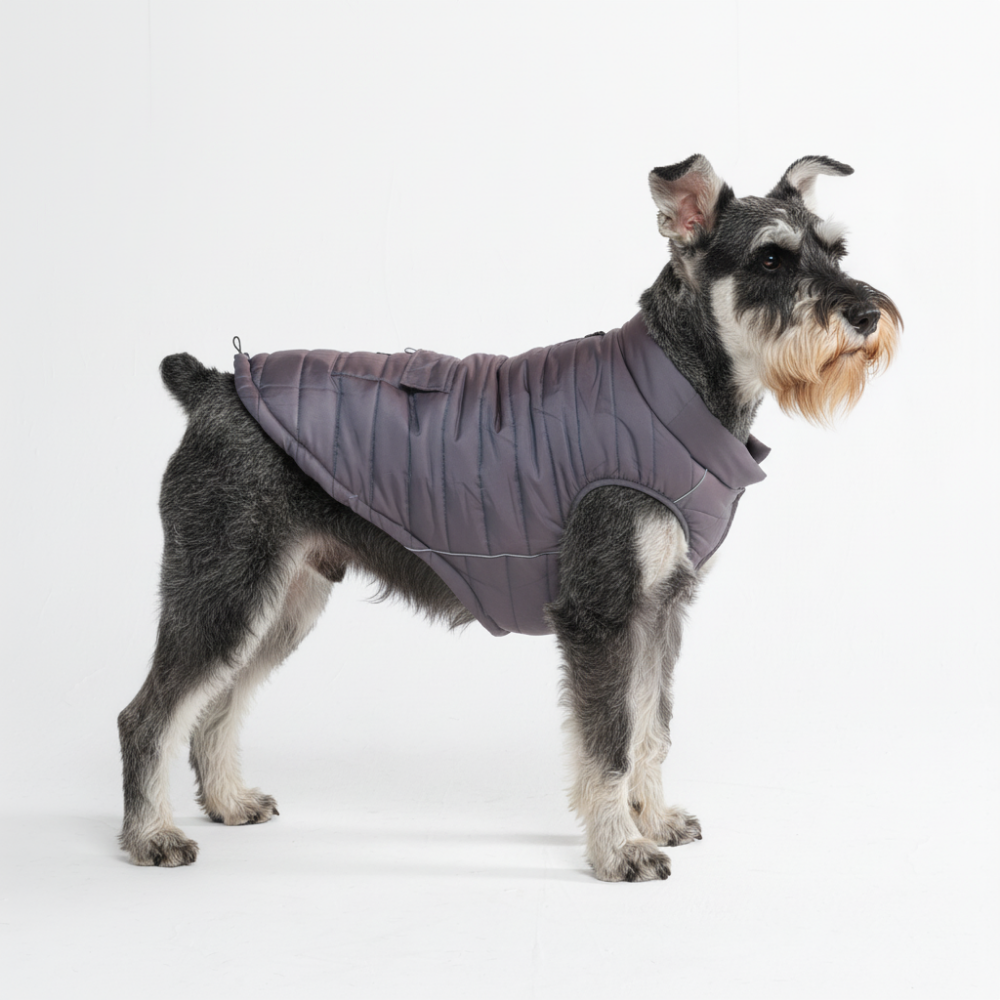 Petloom All-Season Insulated Dog Jacket™