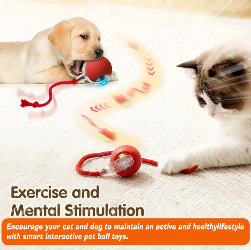 Dog and cat playing with a red interactive pet ball toy on a light surface.