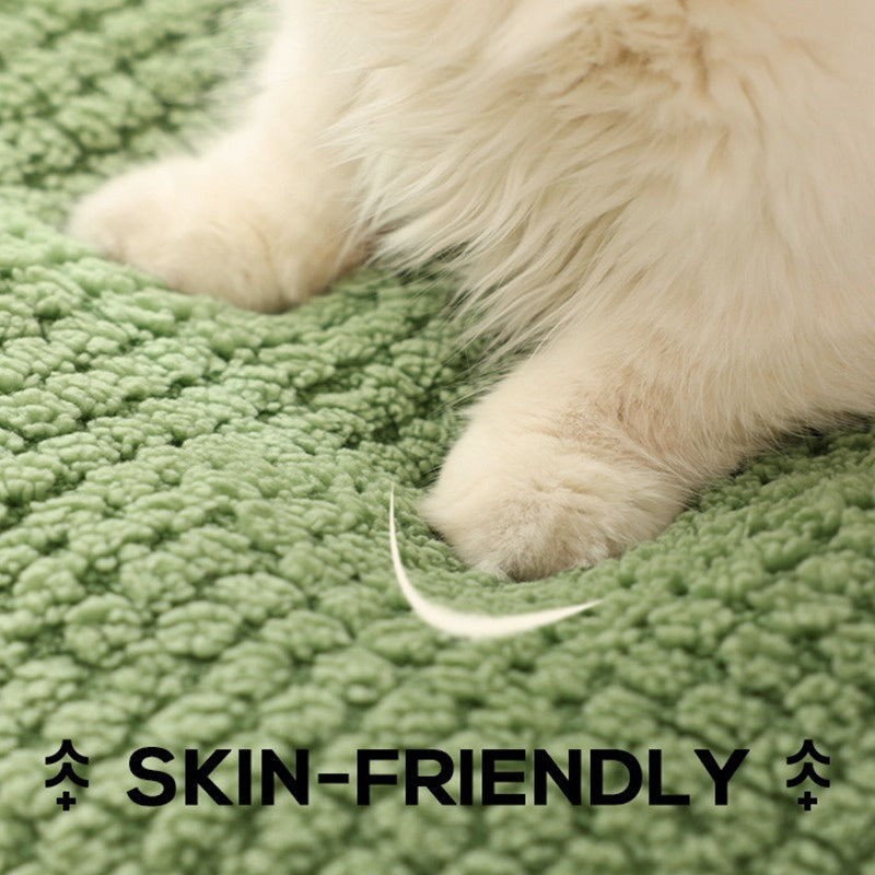 Frog Head Cat Cave™