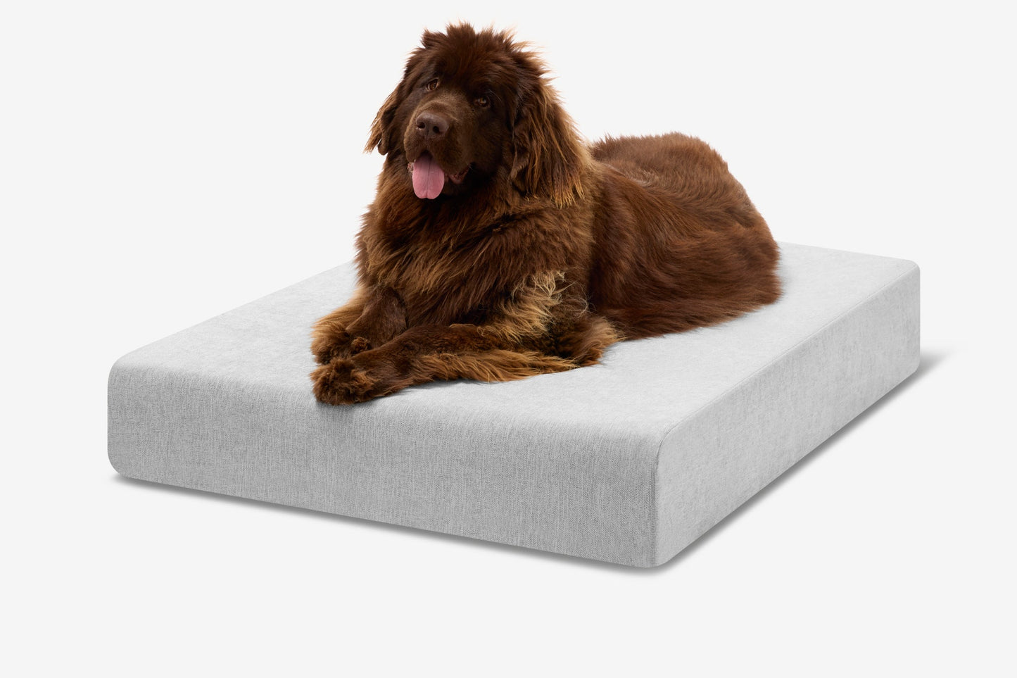 PETLOOM Original Orthopedic Dog Bed™