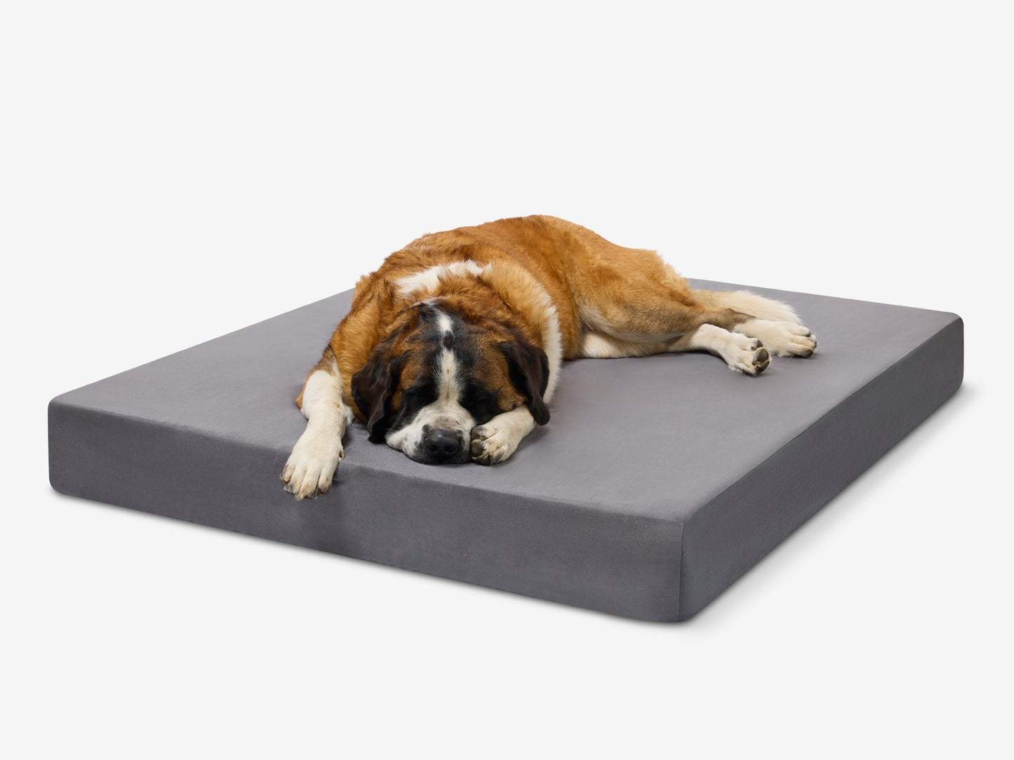 PETLOOM Original Orthopedic Dog Bed™