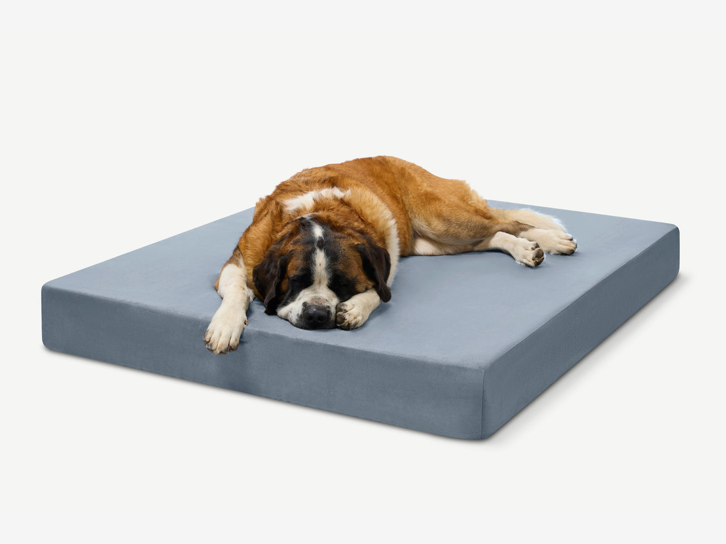 PETLOOM Original Orthopedic Dog Bed™