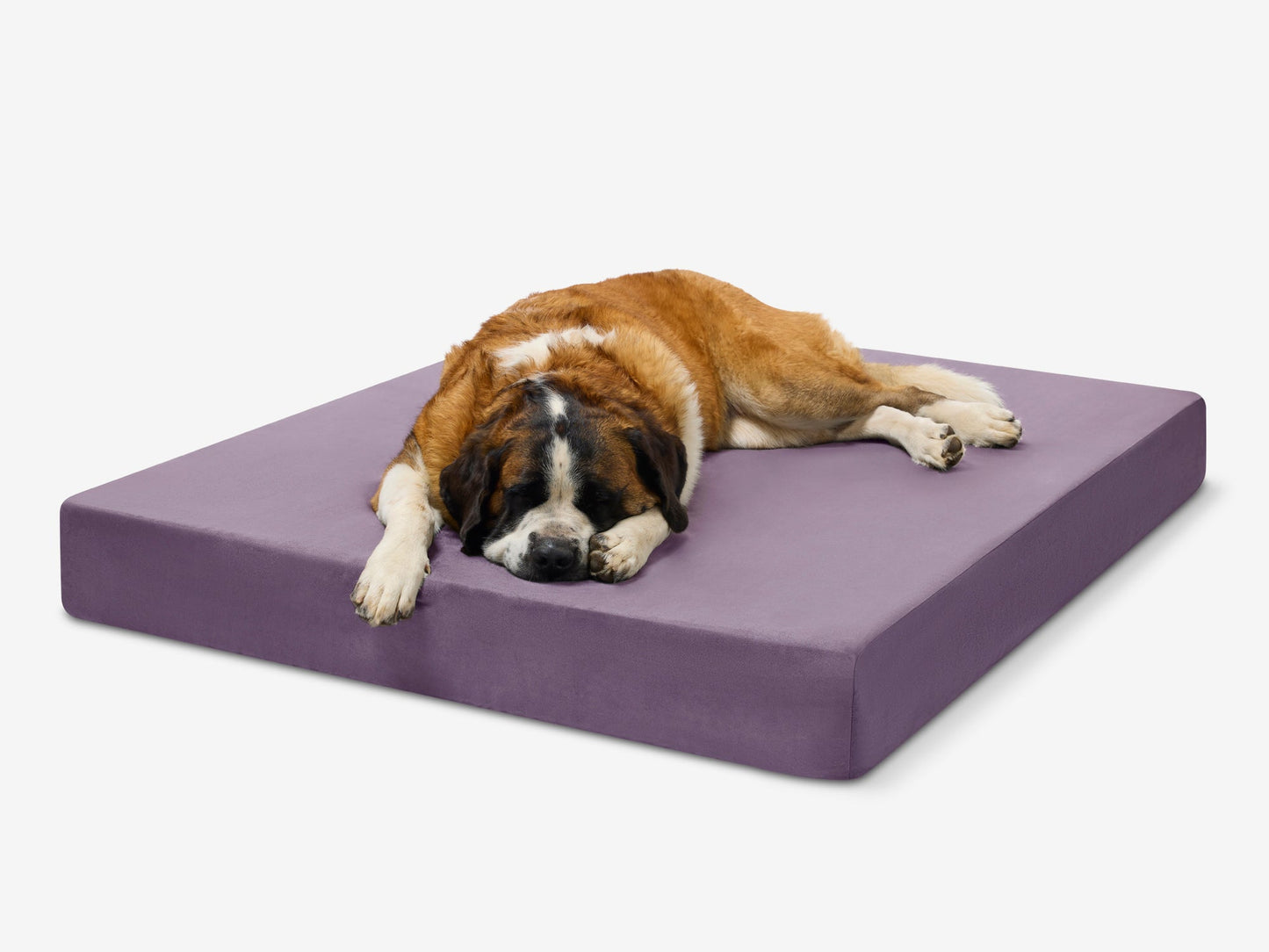 PETLOOM Original Orthopedic Dog Bed™