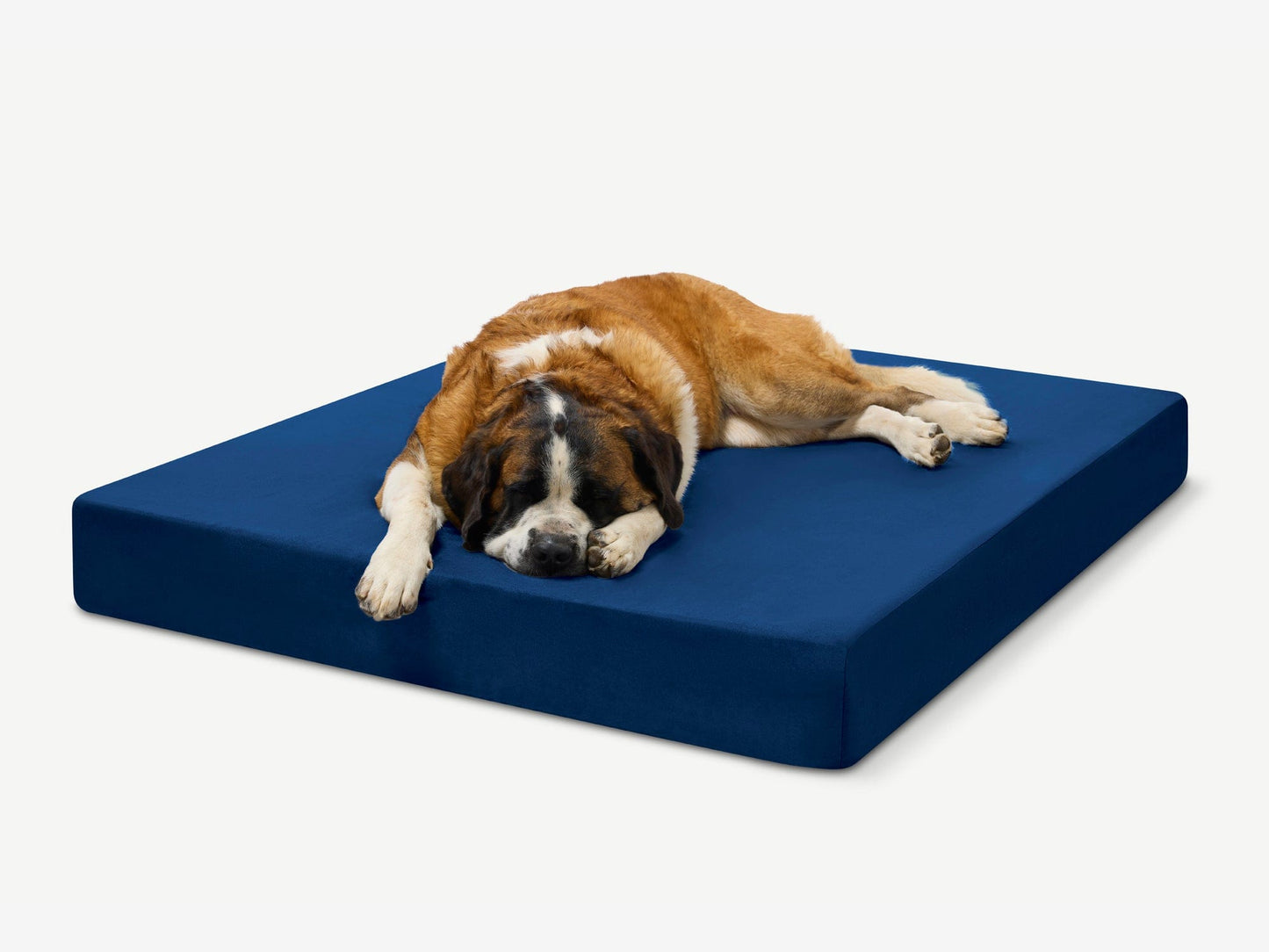 PETLOOM Original Orthopedic Dog Bed™